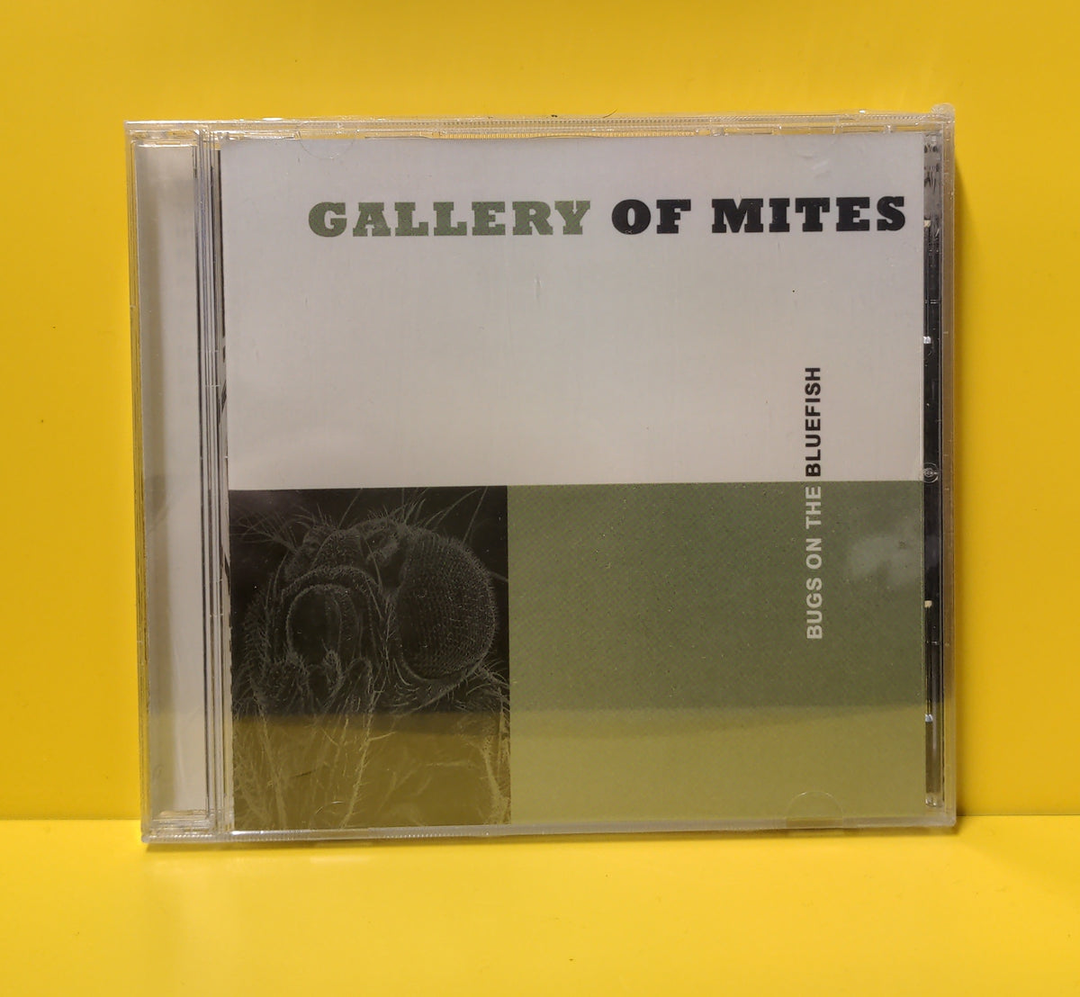 Gallery Of Mites - Bugs On The Bluefish - 2003 - MCY-028 New - Sealed - CDs Gallery Of Mites - Bugs On The Bluefish - 2003 - MCY-028 New - Sealed - CDs