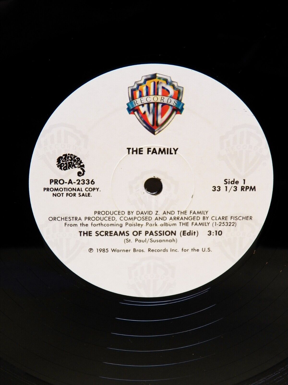 12" Single VG++/EX The Family The Screams Of Passion 1985 Paisley Park Promo 12" Single VG++/EX The Family The Screams Of Passion 1985 Paisley Park Promo