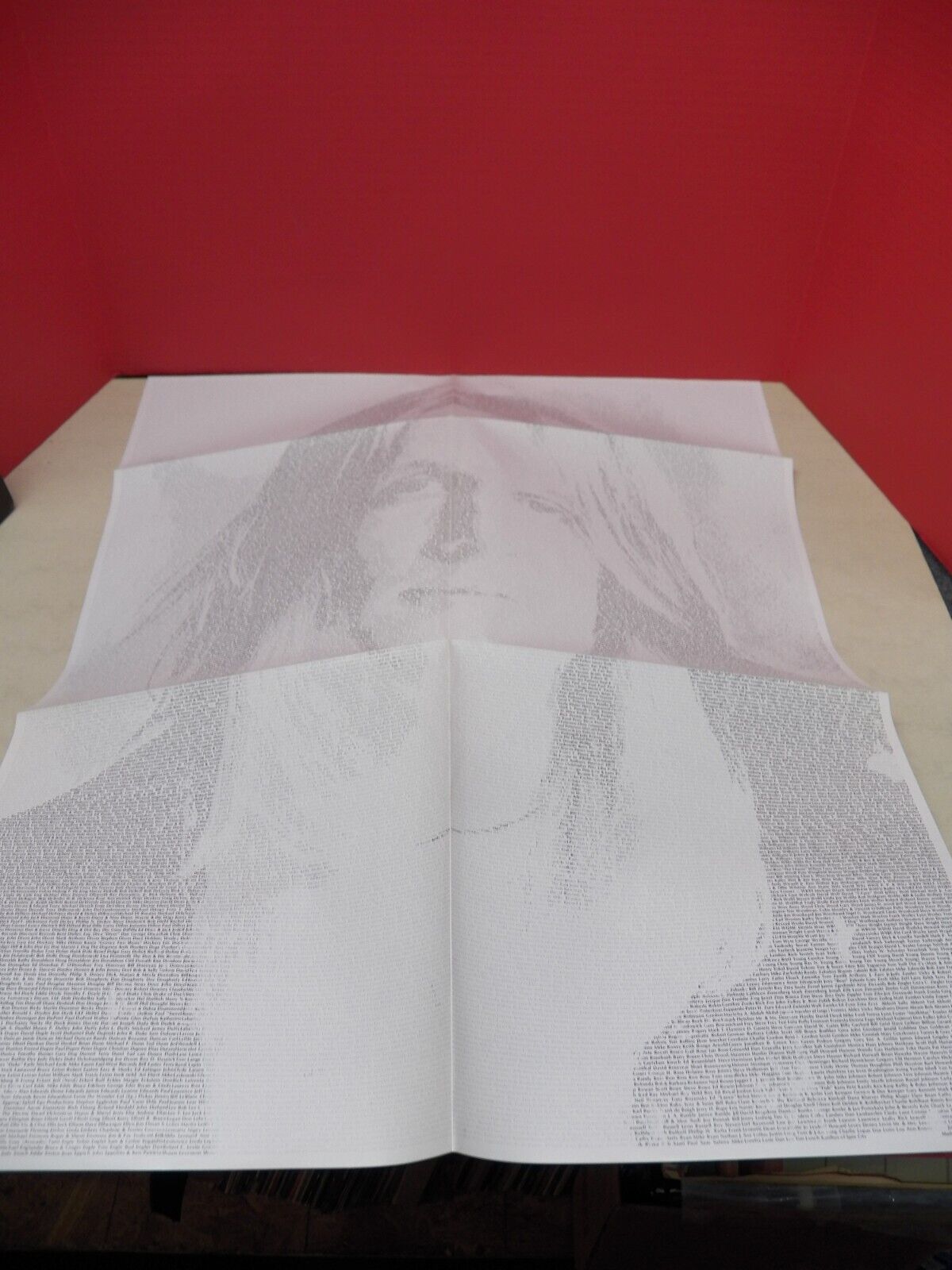 12" 2xLP M- Todd Rundgren Todd 1974 Bearsville Records Deluxe w/ Poster Promo 12" 2xLP M- Todd Rundgren Todd 1974 Bearsville Records Deluxe w/ Poster Promo