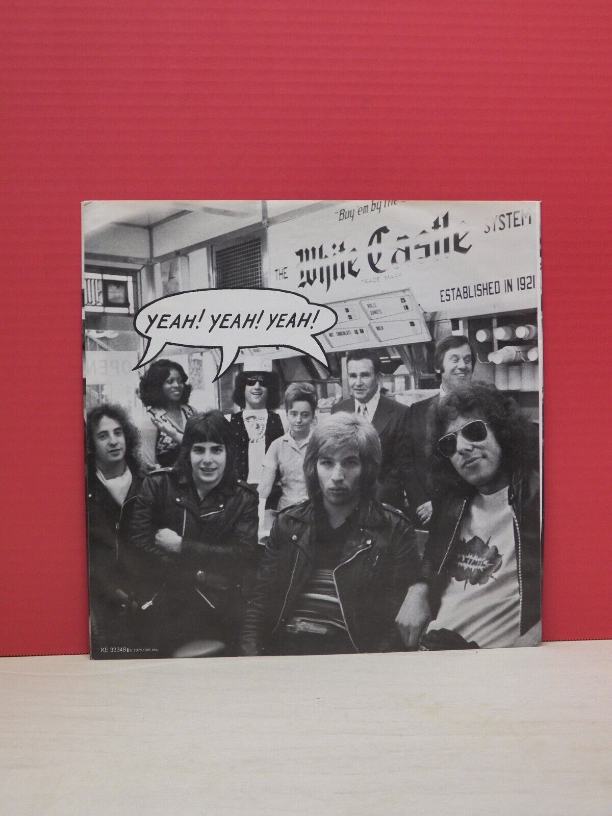 12" LP EX The Dictators Go Girl Crazy! 1975 Epic KE 33348 12" LP EX The Dictators Go Girl Crazy! 1975 Epic KE 33348