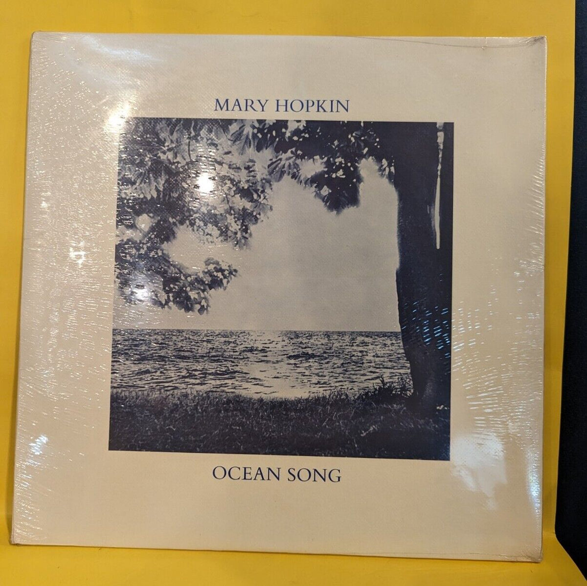 Sealed Vinyl Record LP Mary Hopkin EARTH SONG OCEAN SONG usa Apple SMAS3381 LP Sealed Vinyl Record LP Mary Hopkin EARTH SONG OCEAN SONG usa Apple SMAS3381 LP
