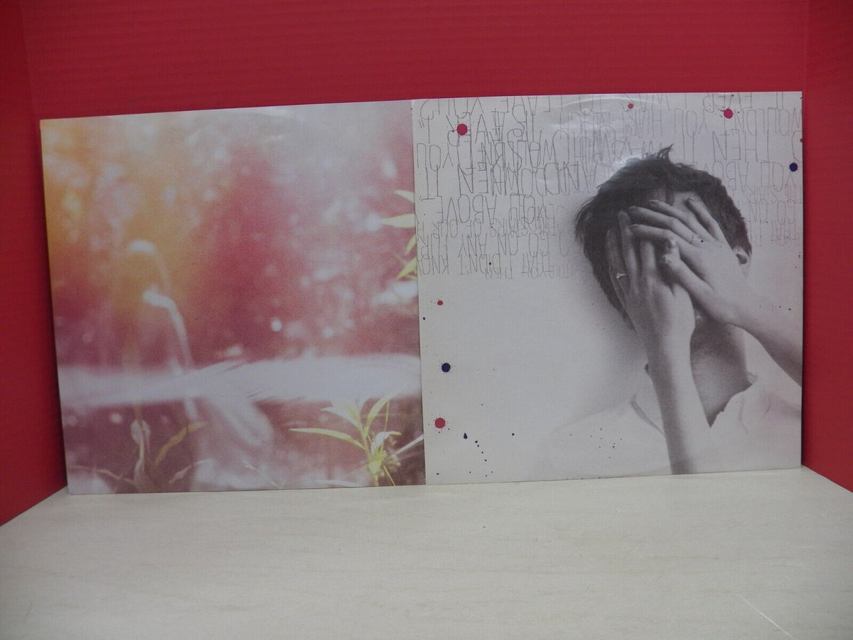 12" 2xLP NM- Passion Pit Gossamer 2012 Columbia 88725 41651 1 12" 2xLP NM- Passion Pit Gossamer 2012 Columbia 88725 41651 1