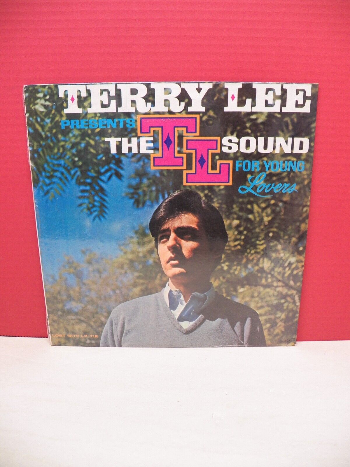 Terry Lee Terry Lee Presents The TL Sound For Young Lovers 1965 Lost Nite LP-112 Terry Lee Terry Lee Presents The TL Sound For Young Lovers 1965 Lost Nite LP-112