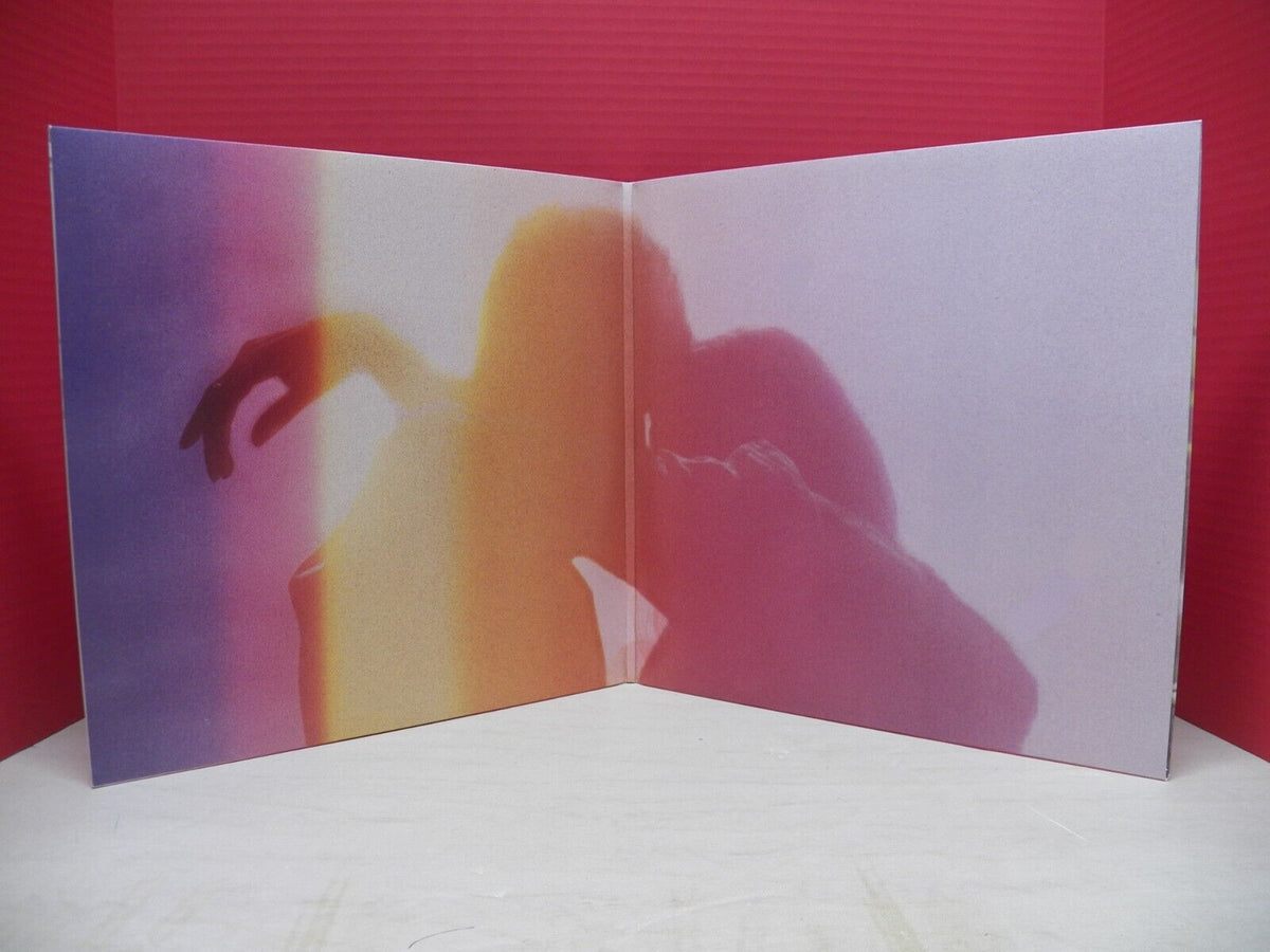 12" 2xLP NM- Passion Pit Gossamer 2012 Columbia 88725 41651 1 12" 2xLP NM- Passion Pit Gossamer 2012 Columbia 88725 41651 1