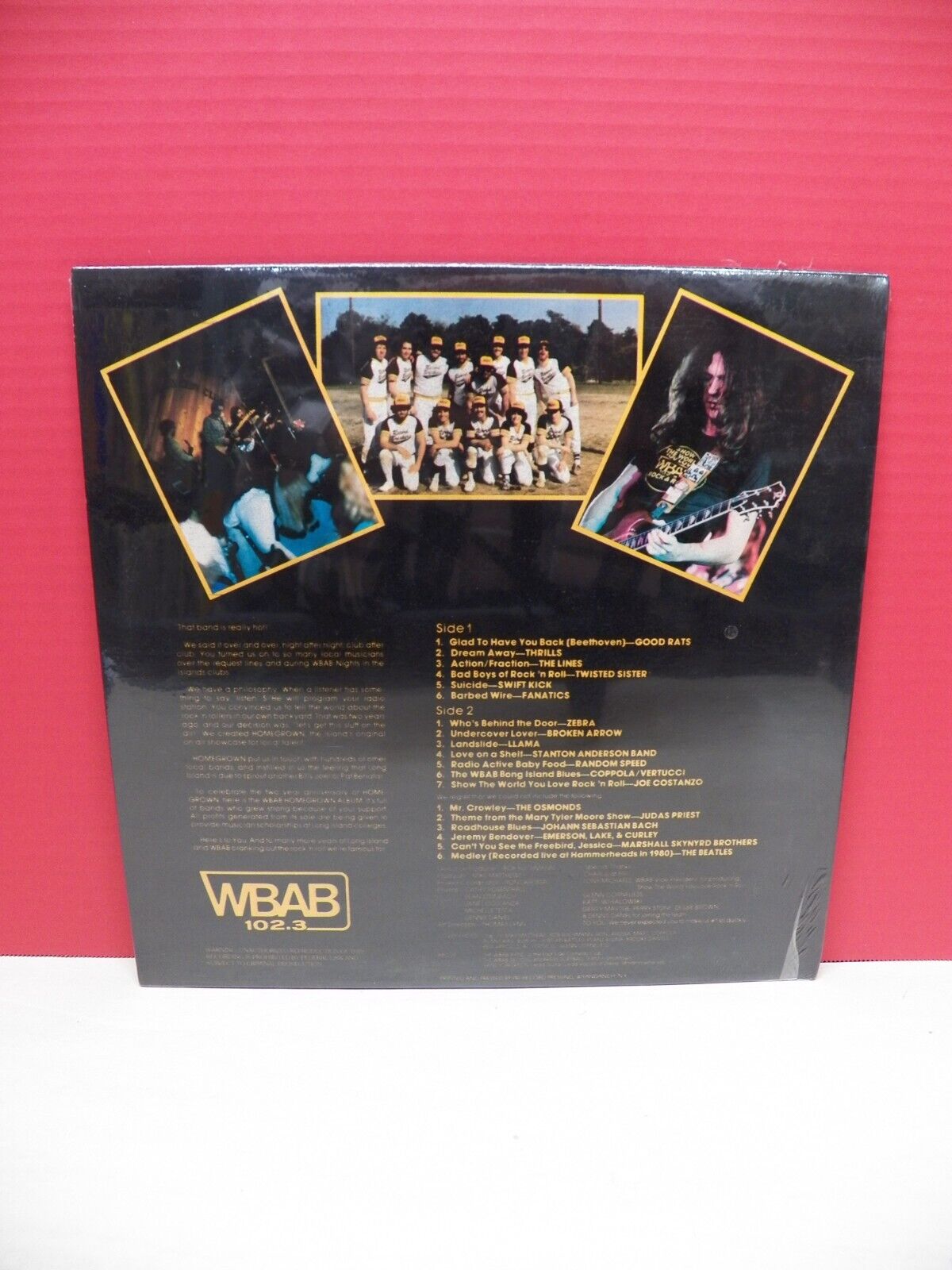 Sealed 12" LP Various Artists WBAB Homegrown Album 1981 WBAB Broken Records Sealed 12" LP Various Artists WBAB Homegrown Album 1981 WBAB Broken Records