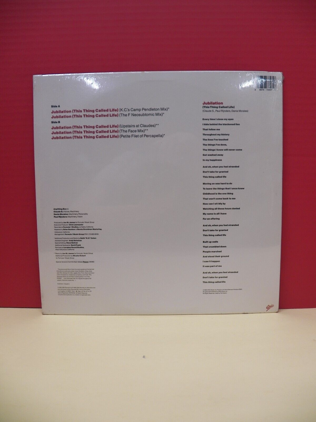 Sealed 12" Single Anything Box Jubilation (This Thing Called Life) 1990 Epic Sealed 12" Single Anything Box Jubilation (This Thing Called Life) 1990 Epic