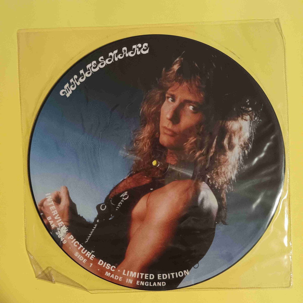 Whitesnake - Interview Picture Disc Limited Edition UK - 1987 - BAK 2049 Used - EX - Vinyl Whitesnake - Interview Picture Disc Limited Edition UK - 1987 - BAK 2049 Used - EX - Vinyl