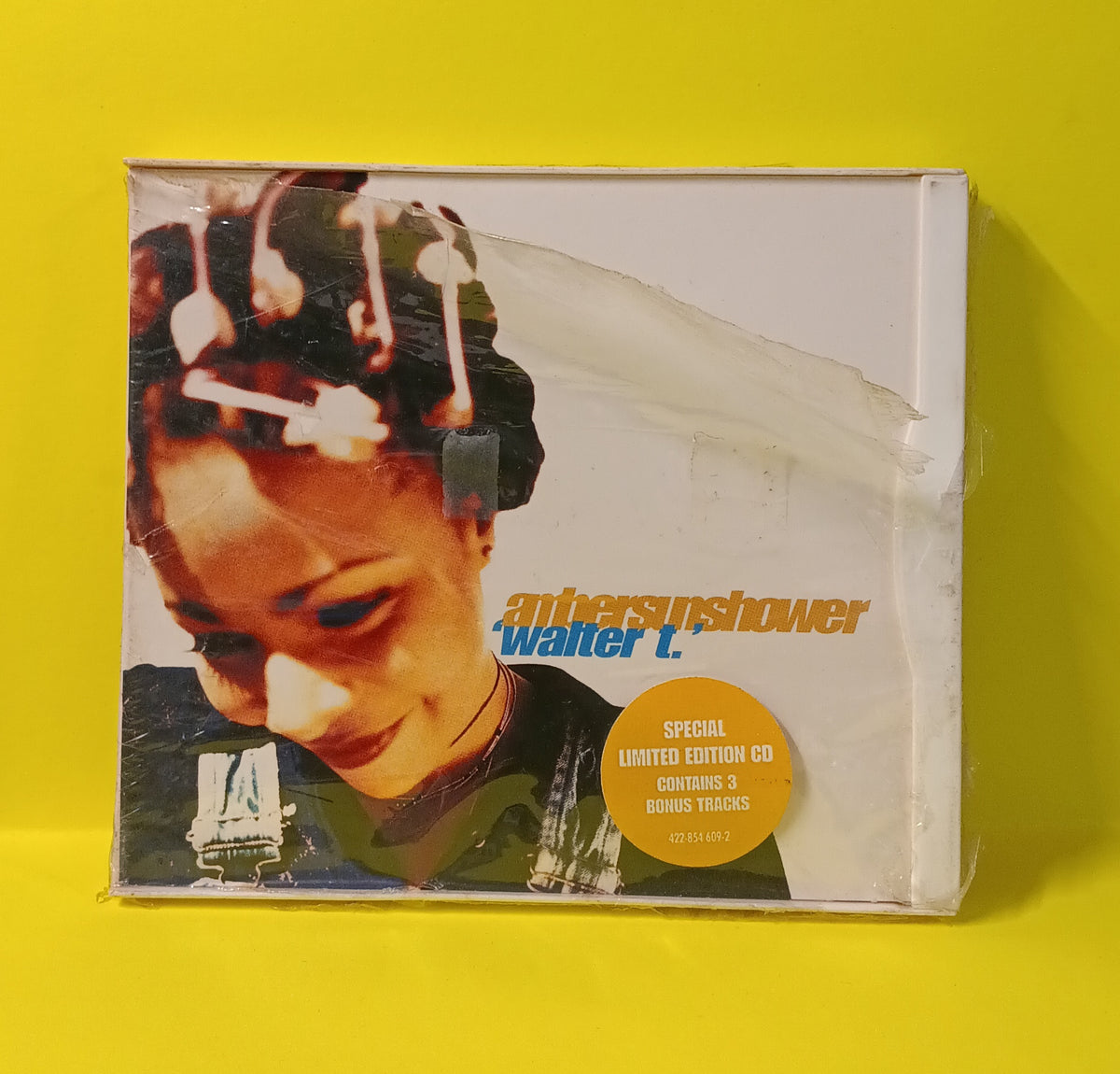 Ambersunshower - Walter T. - 1996 - 422-854 609-2 New - Sealed - CDs Ambersunshower - Walter T. - 1996 - 422-854 609-2 New - Sealed - CDs