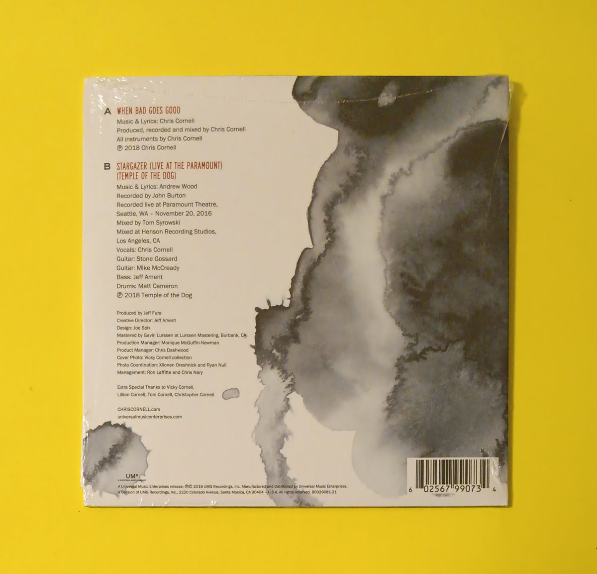 Chris Cornell - When Bad Does Good / Stargazer - 2018 - B0029081-21 New - Sealed - 7" RSD Marble Color Vinyl Chris Cornell - When Bad Does Good / Stargazer - 2018 - B0029081-21 New - Sealed - 7" RSD Marble Color Vinyl