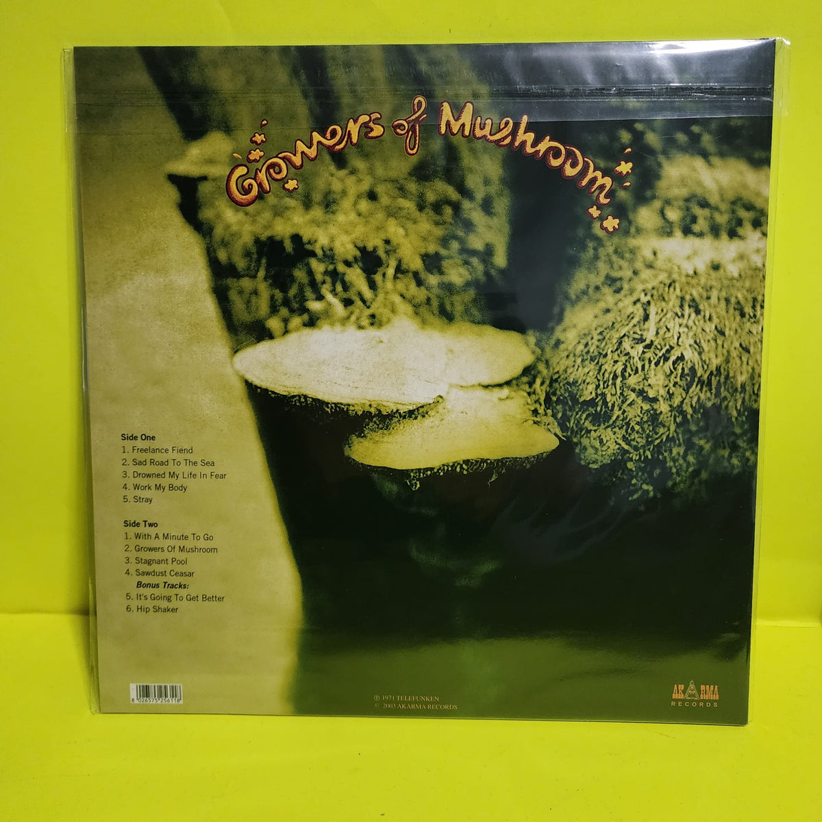 Leaf Hound - Growers Of Mushroom - 2003 - AK 256 New - NM - Vinyl Leaf Hound - Growers Of Mushroom - 2003 - AK 256 New - NM - Vinyl