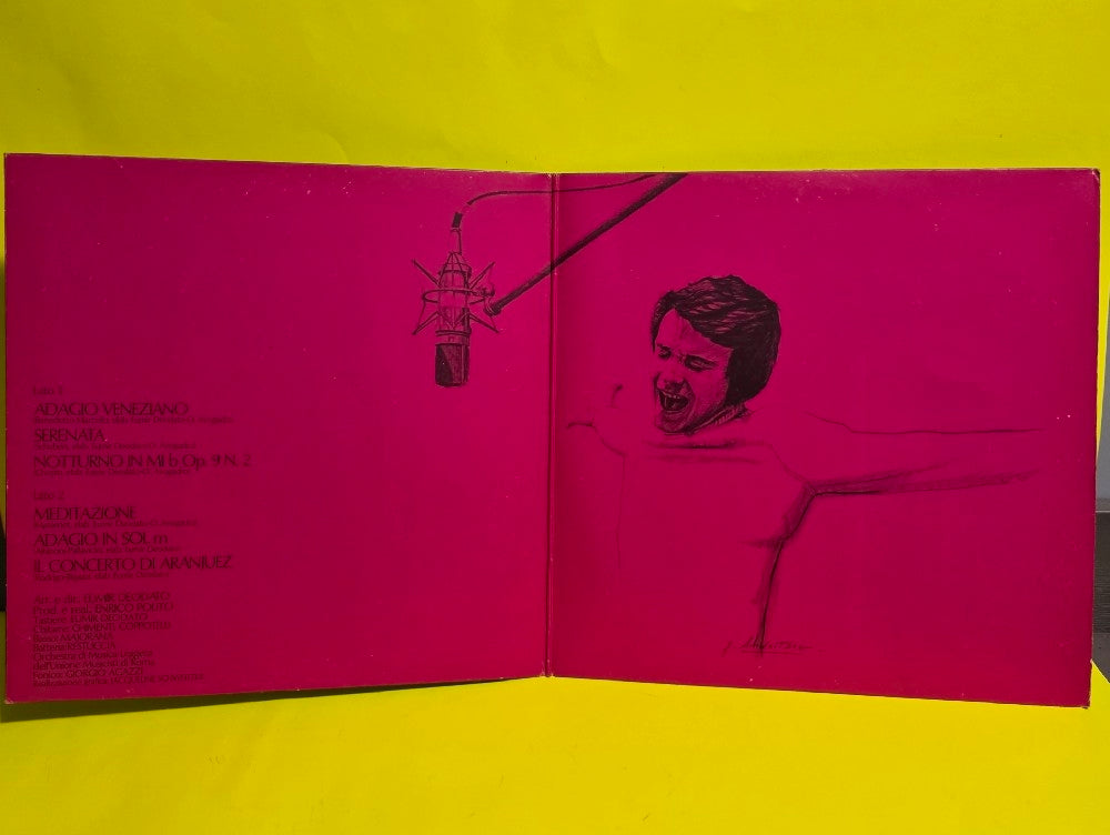 Ranieri - Meditazione - 1976 - CGD 69228 - Used - EX - Vinyl Ranieri - Meditazione - 1976 - CGD 69228 - Used - EX - Vinyl