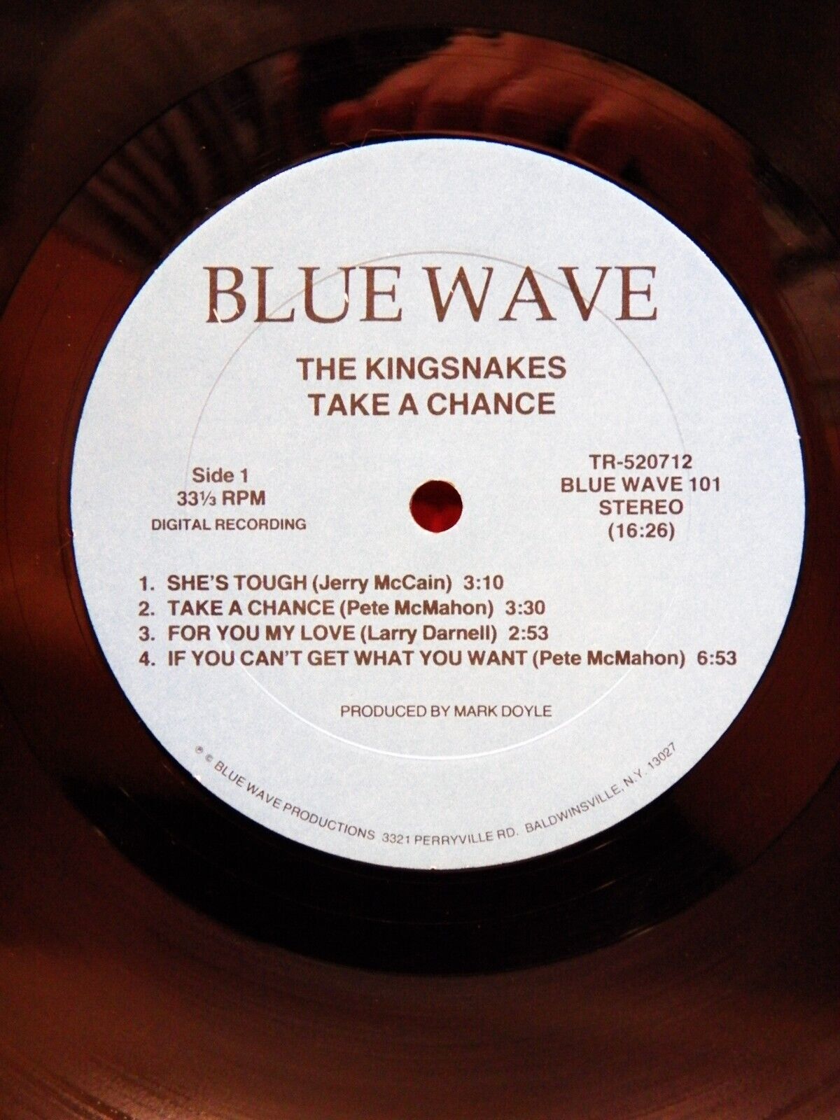 12" LP VG++/EX The Kingsnakes Take A Chance 1985 Blue Wave Productions 101