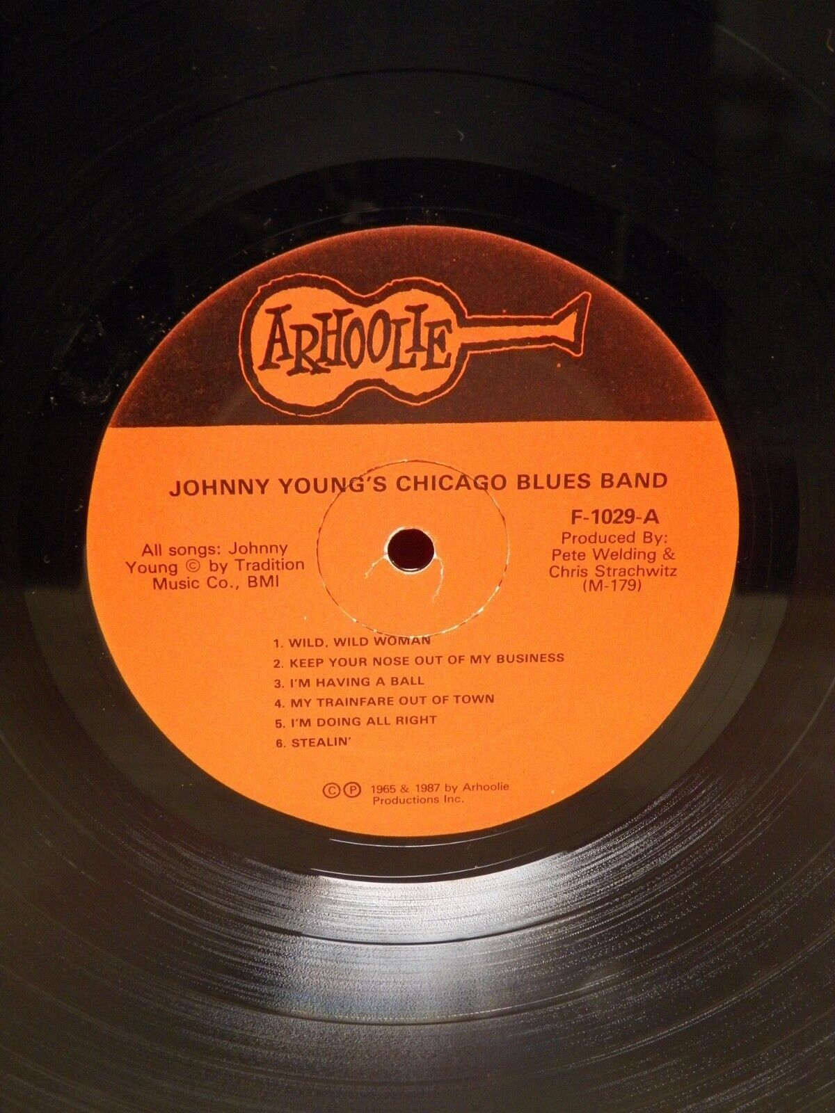 12" LP EX Johnny Young And His Chicago Blues Band Arhoolie Reissue F1029