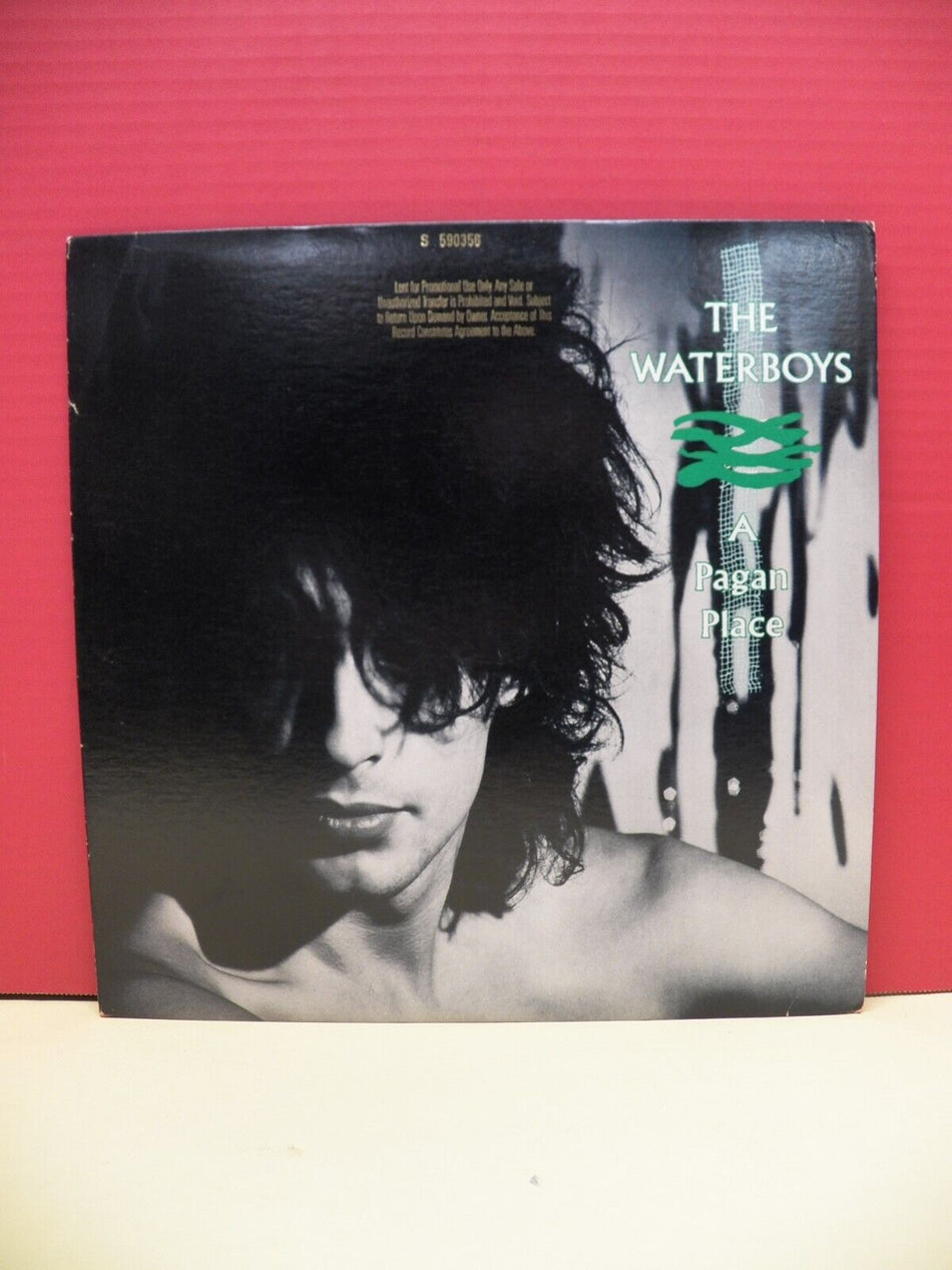 12" LP VG++/EX The Waterboys A Pagan Place 1984 Island Records Promo 7 90190-1