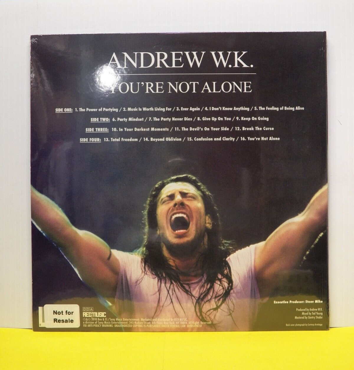 Sealed 12" 2xLP Andrew W.K. You're Not Alone 2018 Red Music 180G Colored Promo