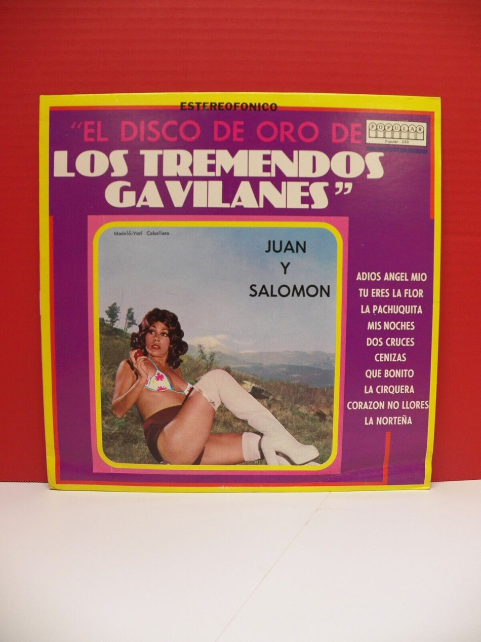 12" LP VG++/EX Los Tremendos Gavilanes El Disco De Oro De... 1983 Popular