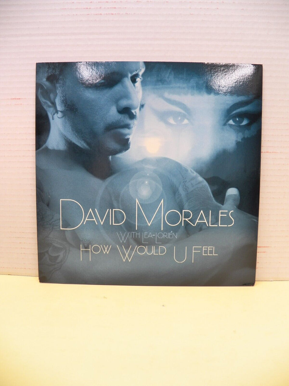 12" Single VG++/EX David Morales with Lea-Lorien How Would U Feel 2004 DMI