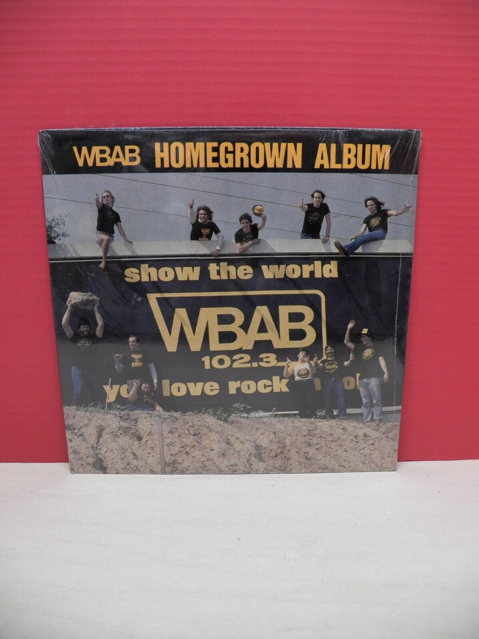 Sealed 12" LP Various Artists WBAB Homegrown Album 1981 WBAB Broken Records