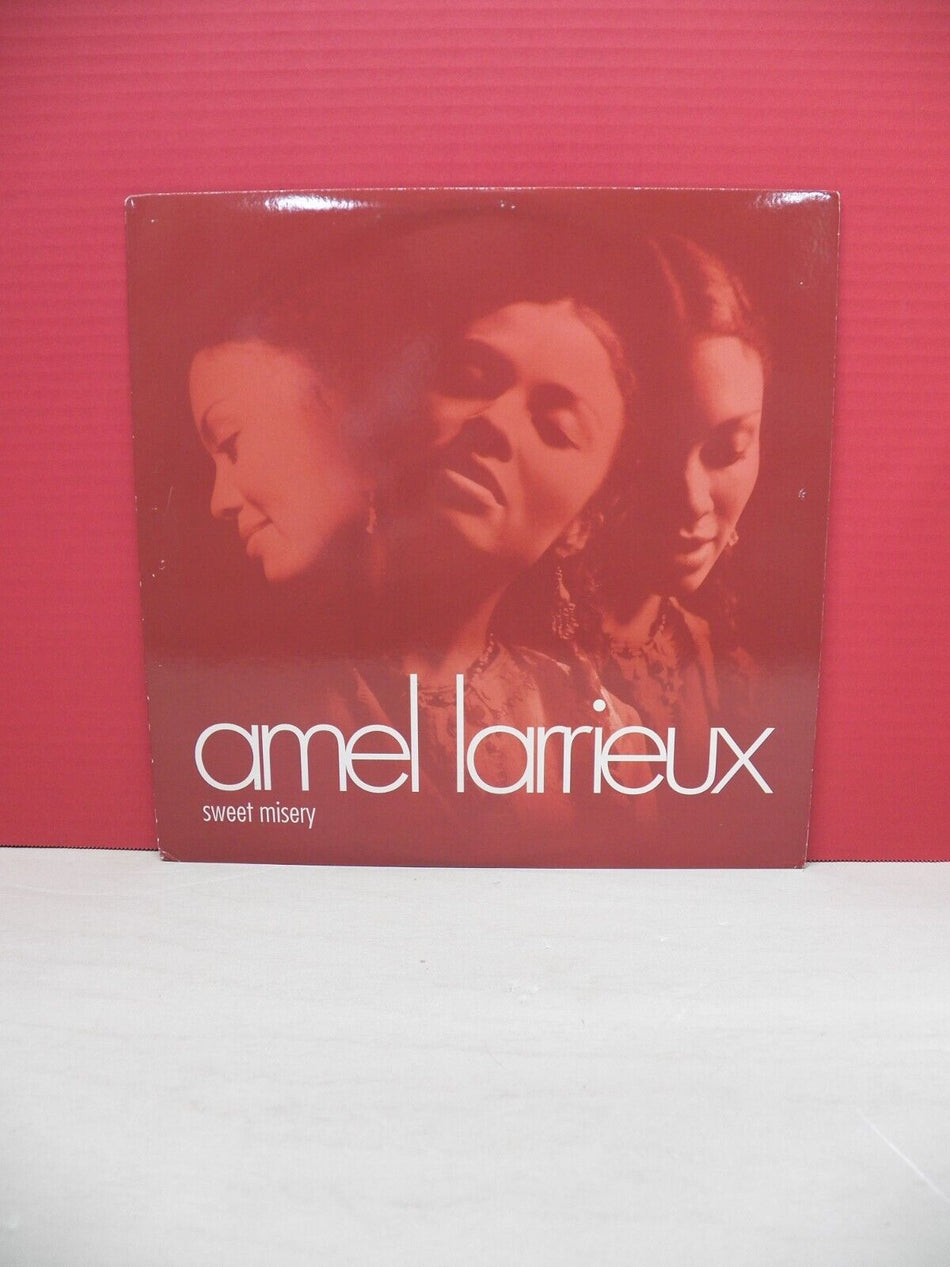 12" Single NM- Amel Larrieux Sweet Misery 2000 Epic/550 Music Promo BAS 46586