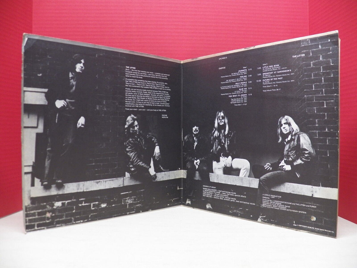 12" LP EX The Litter Emerge 1969 Probe Stereo CPLP 4504