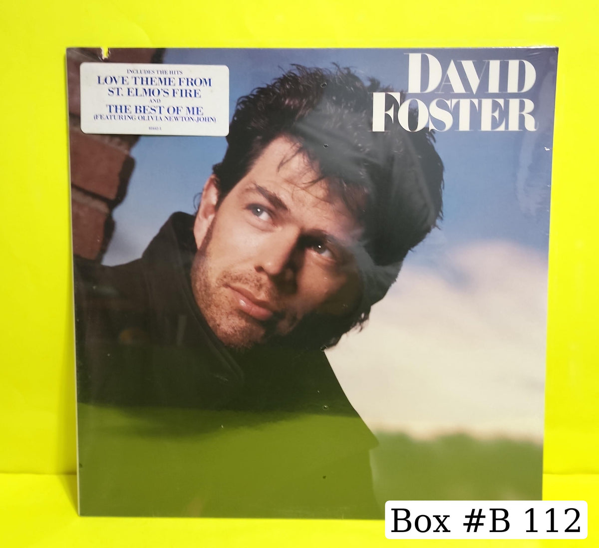 David Foster - David Foster - 1986 - 81642-1 New - Sealed - Vinyl