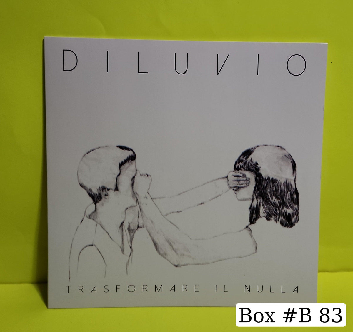 Diluvio - Trasformare IL Nulla - 2019 - DNR047 New - NM - Vinyl
