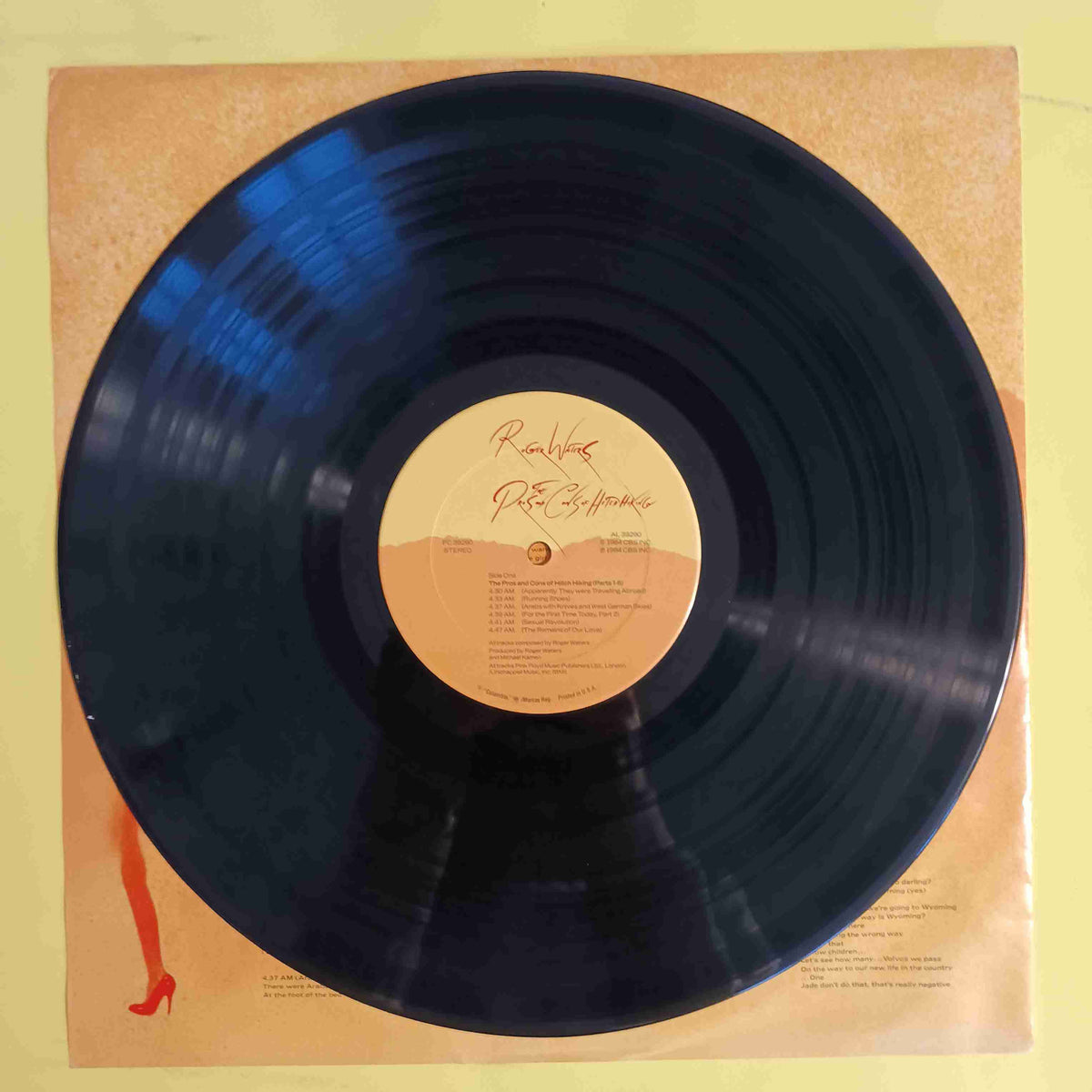 Roger Waters - The Pros And Cons Of Hitch Hiking - 1984 - FC 39290 Used - EX - Vinyl