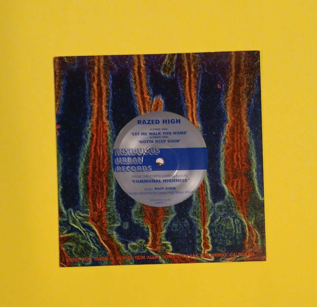 Razed High - Let Me Walk You Home / Gotta Keep Goin 7" - 2001 - IUR 9051-7 Used - EX - Vinyl