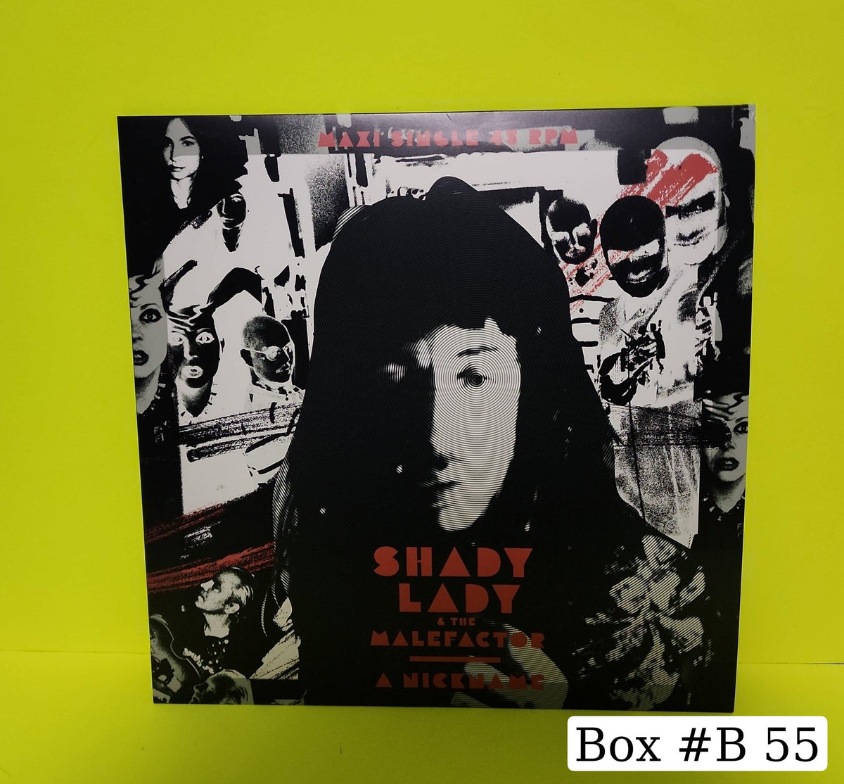 Shady Lady & the Malefactor - A Nickname (Rare Sweden Punk) - 2023 - PMB033 New - NM - Vinyl