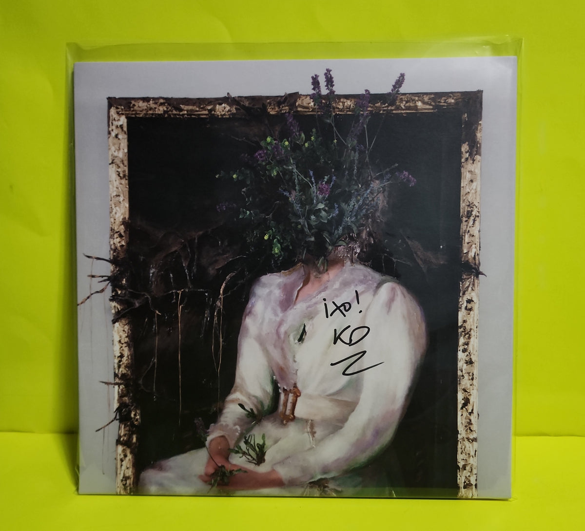 Kevin Devine - Nothing's Real, So Nothing's Wrong  - 2022 - TCR-009 New - Sealed - Vinyl