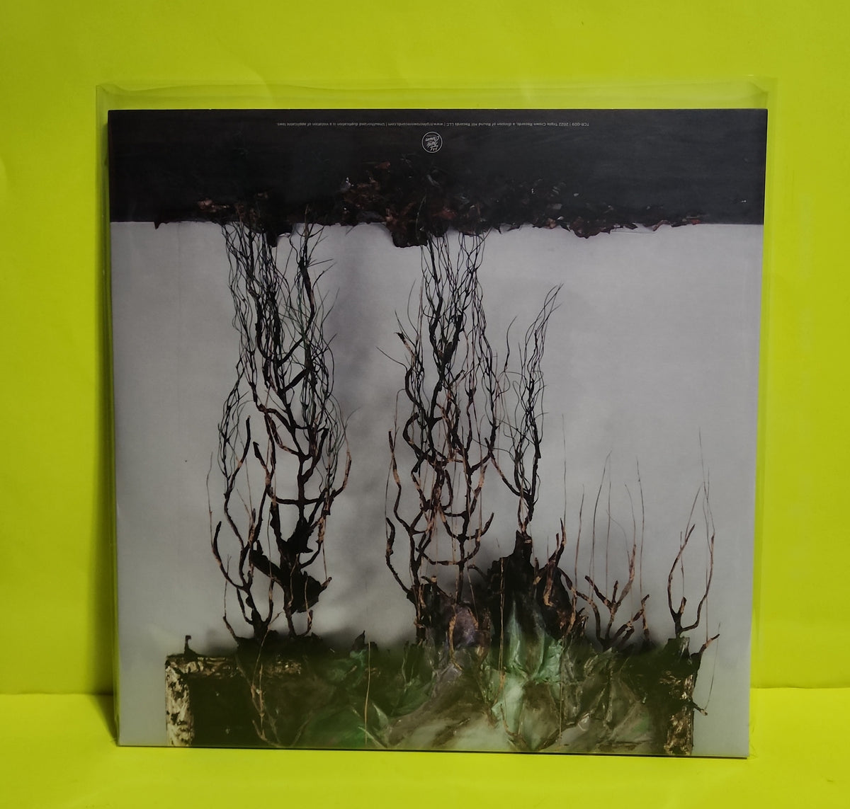 Kevin Devine - Nothing's Real, So Nothing's Wrong  - 2022 - TCR-009 New - Sealed - Vinyl
