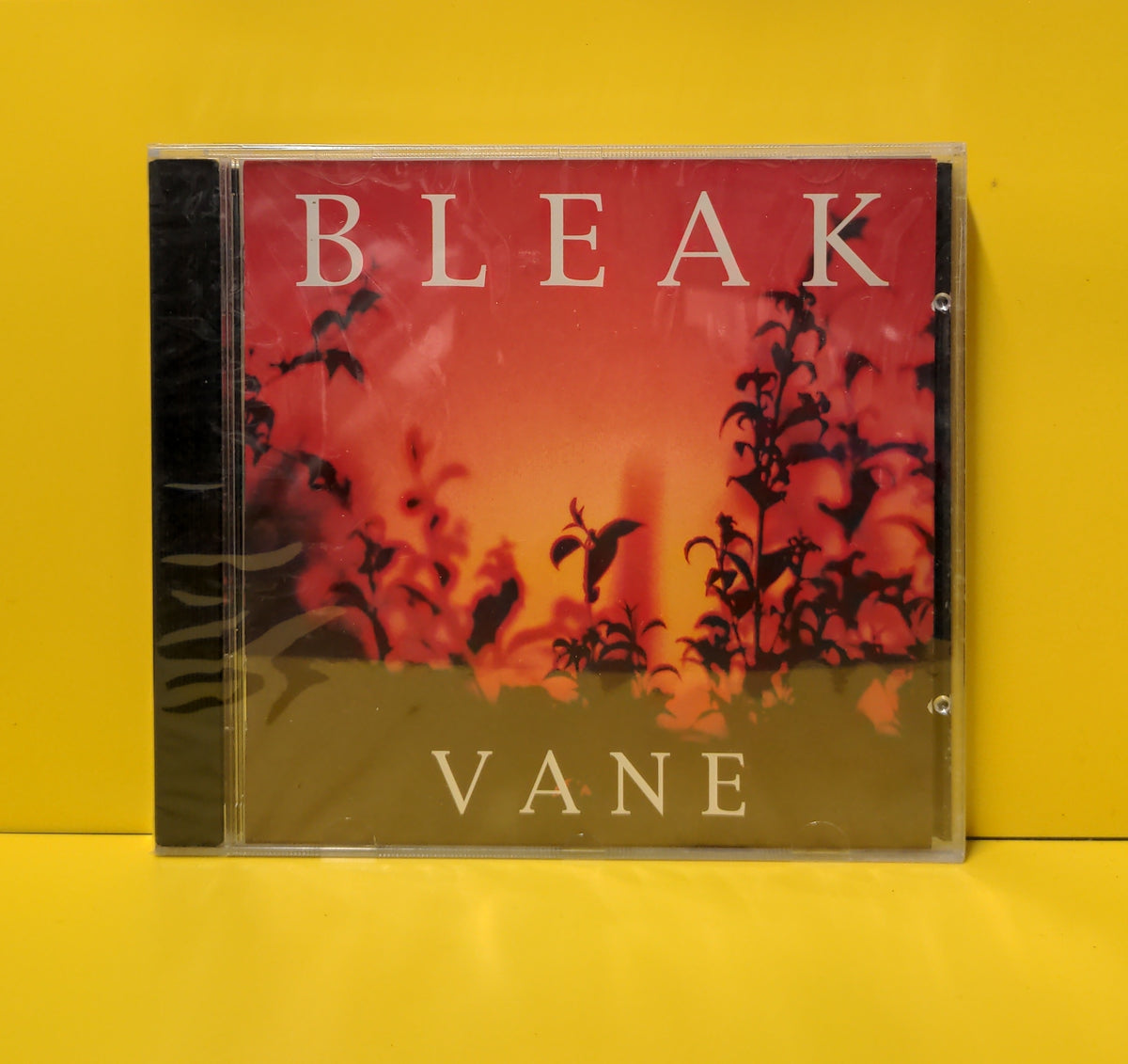 Bleak - Vane - 1995 - PROJEKT 53 New - Sealed - CDs