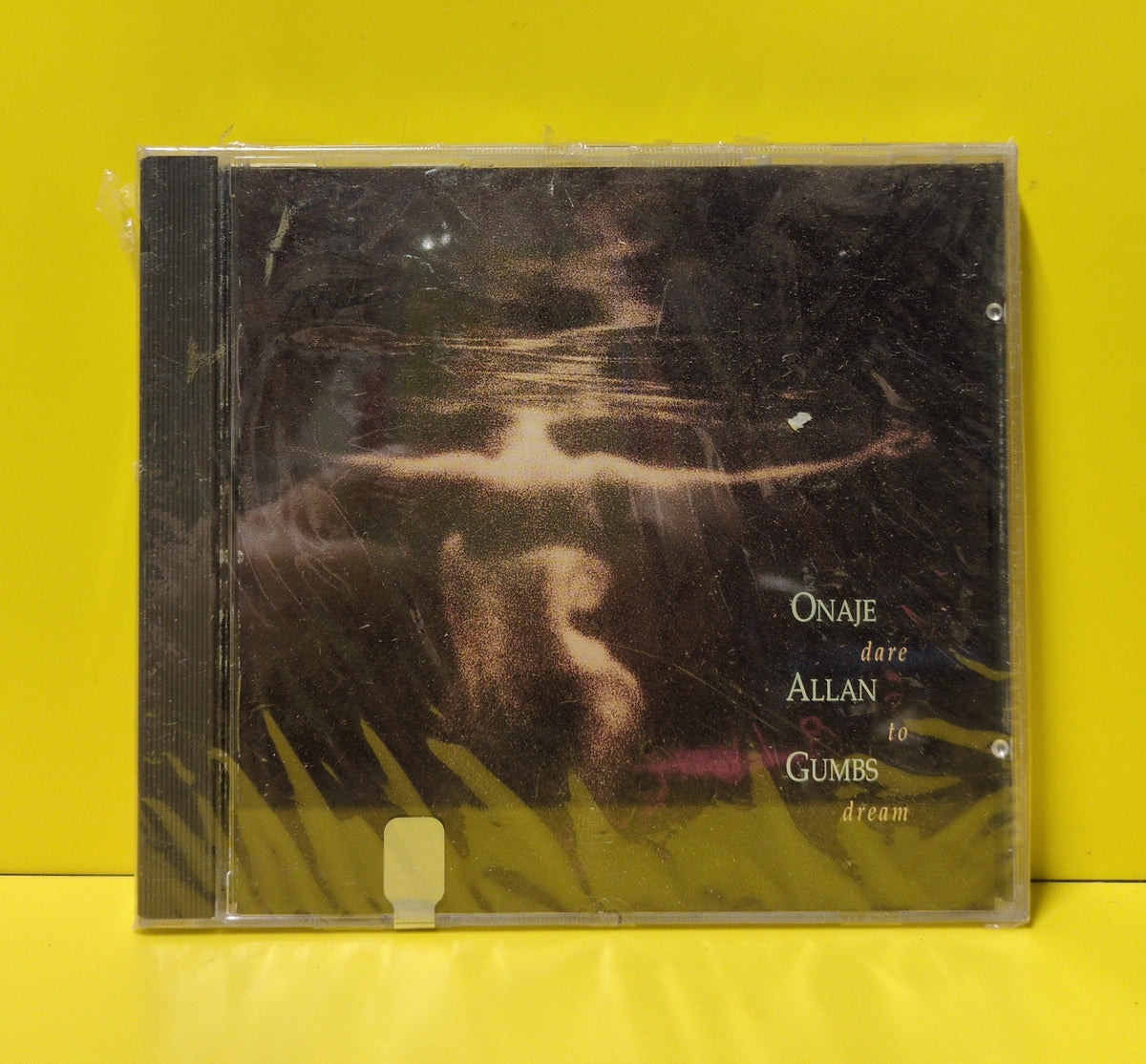 Onaje Allan Gumbs - Dare To Dream - 1991 - MCAD 10382 New - Sealed - CDs