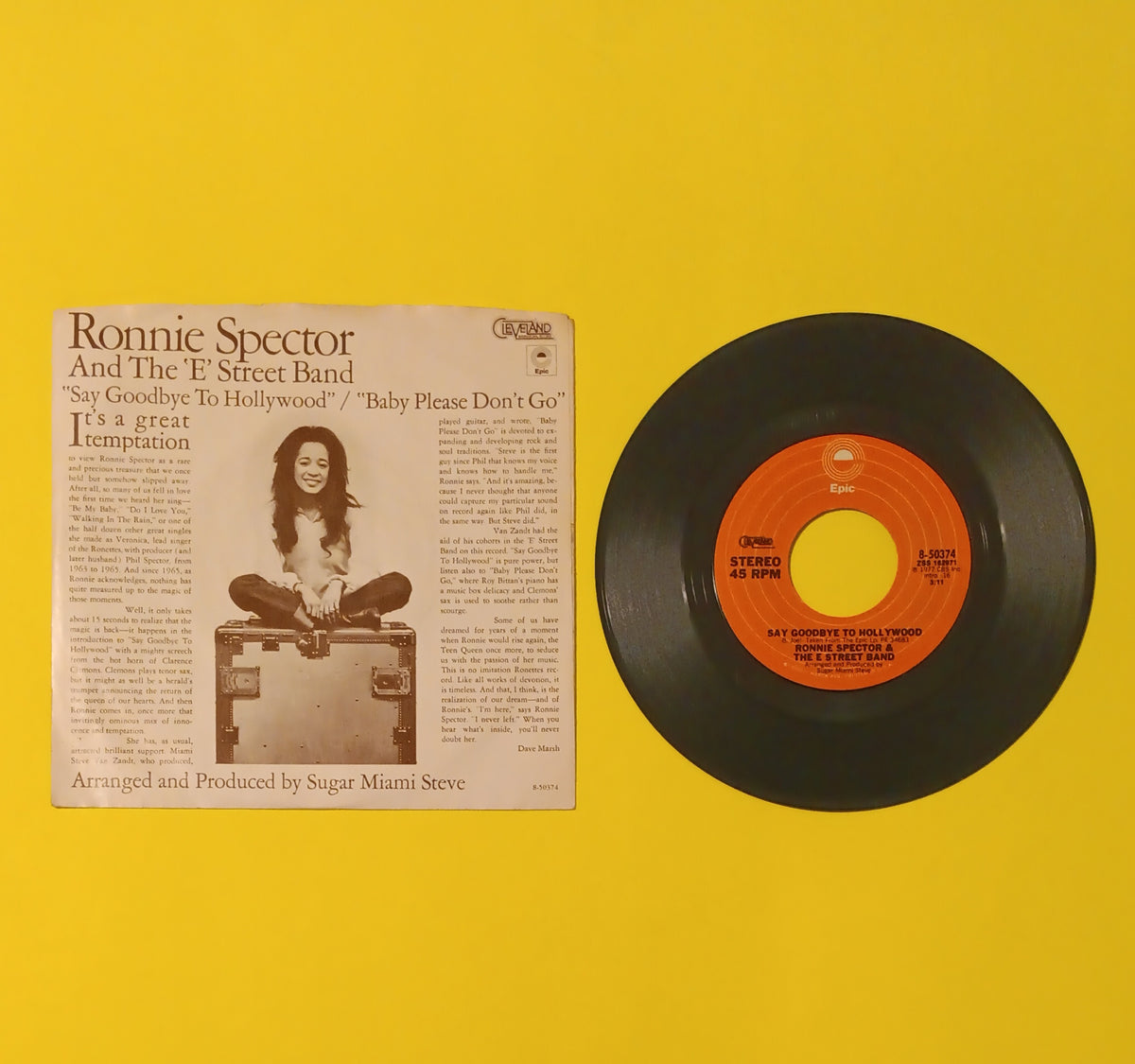 Ronnie Spector & The E Street Band - Say Goodbye To Hollywood (7" Promo) - 1977 - 8-50374 Used - EX - Vinyl