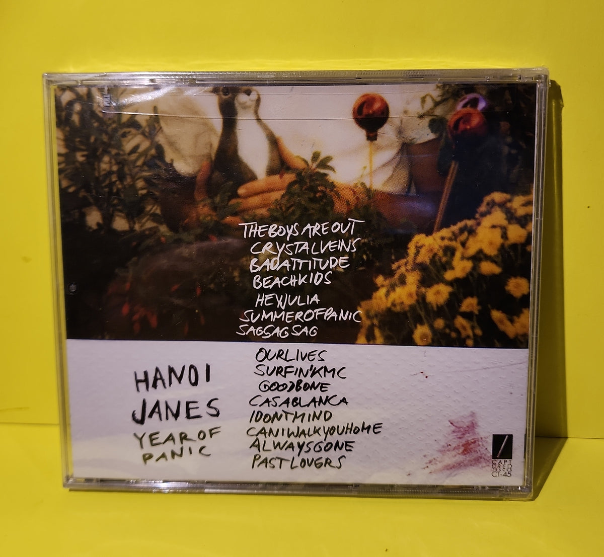 Hanoi Janes - Year Of Panic  - 2010 - CT45 New - Sealed - CDs