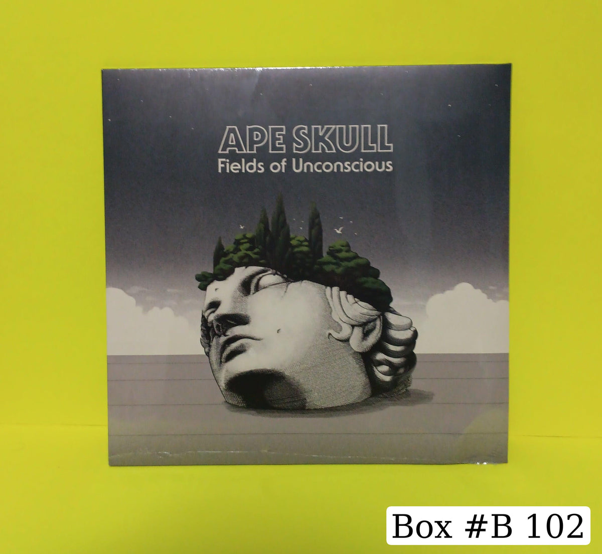 Ape Skull - Field of Unconscious (Italy ) - 2020 - SR-014 New - Sealed - Vinyl