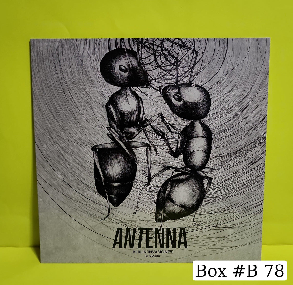 Various  - Antenna  - 2020 - BLNV004 New - NM - Vinyl