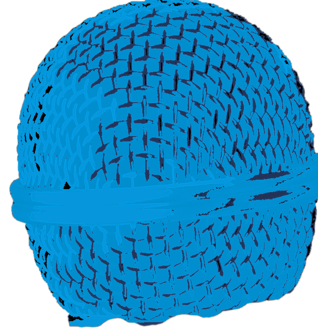 Blue_Head