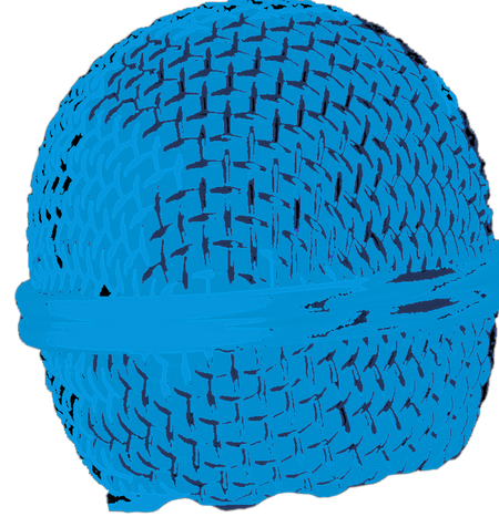 Blue_Head