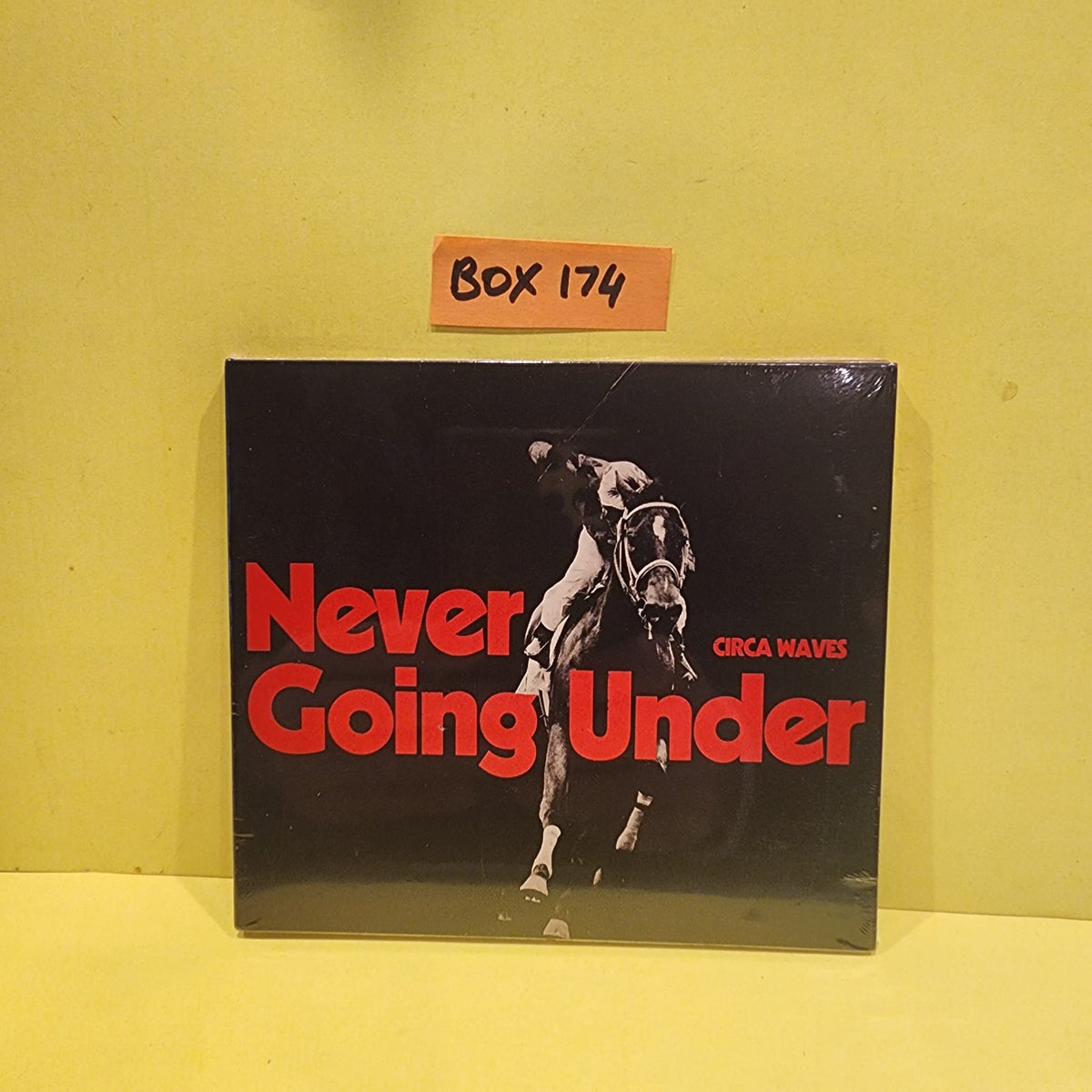 Circa Waves - Never Going Under - 2023 - PROINC030CD New - Sealed - CDs