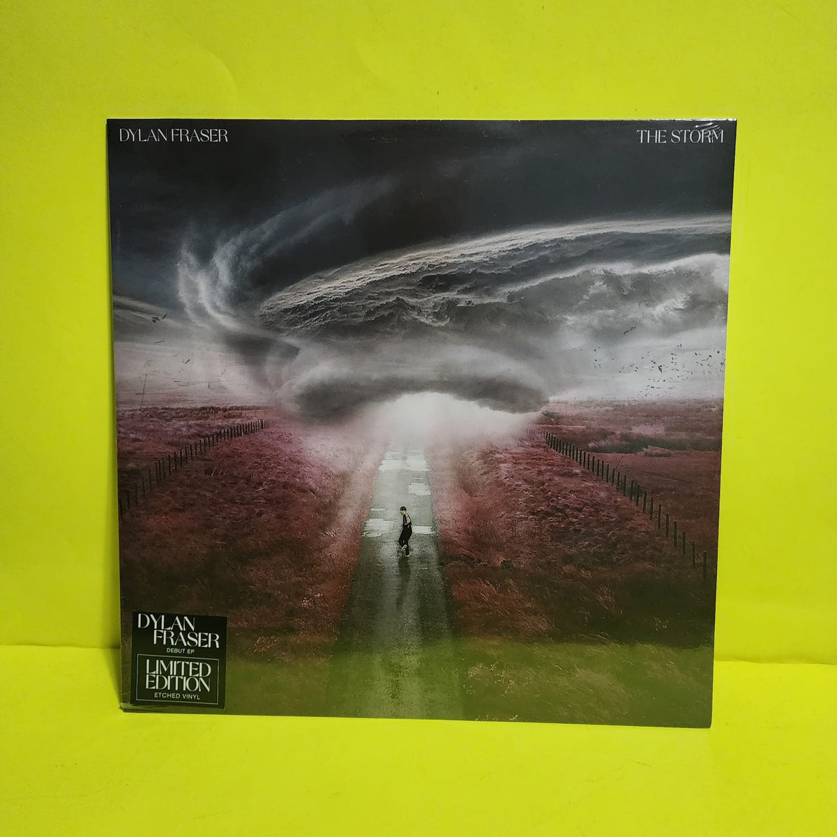 Dylan Fraser - The Storm - 2021 - 0190296761294 New - Sealed - Vinyl
