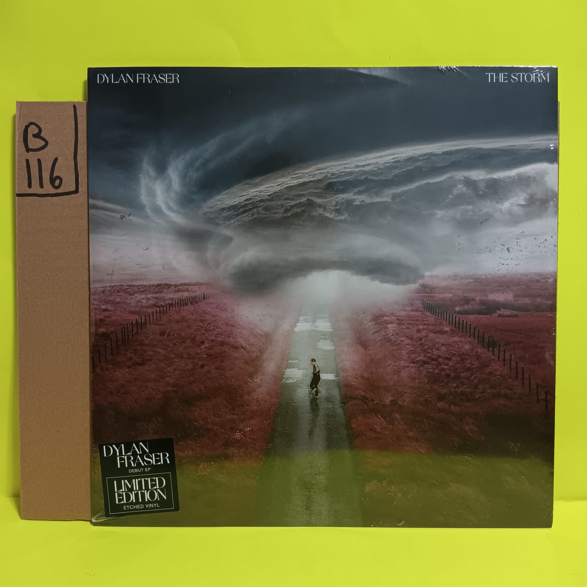 Dylan Fraser - The Storm - 2021 - 0190296761294 New - Sealed - Vinyl