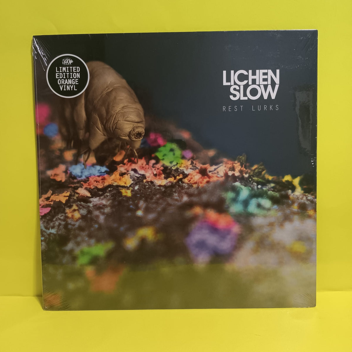 Lichen Slow - Rest Lurks - 2023 - ROCKACT152LP New - Sealed - Vinyl