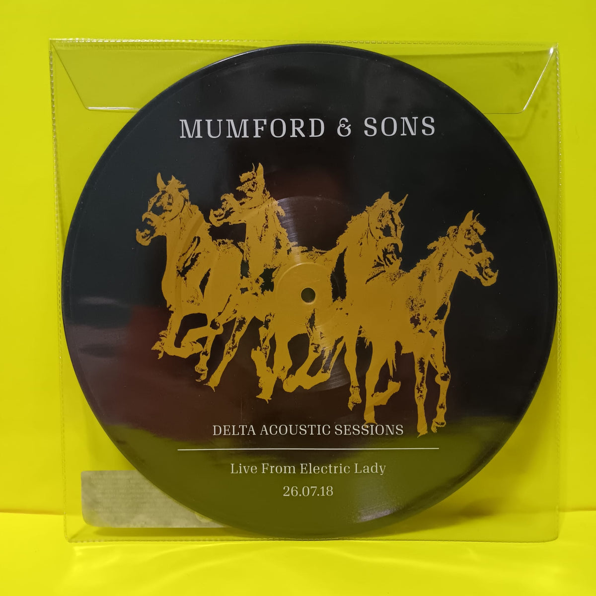 Mumford & Sons - Delta Acoustic Sessions / Picture Disc  - 2019 - 7750387 New - Sealed - Vinyl