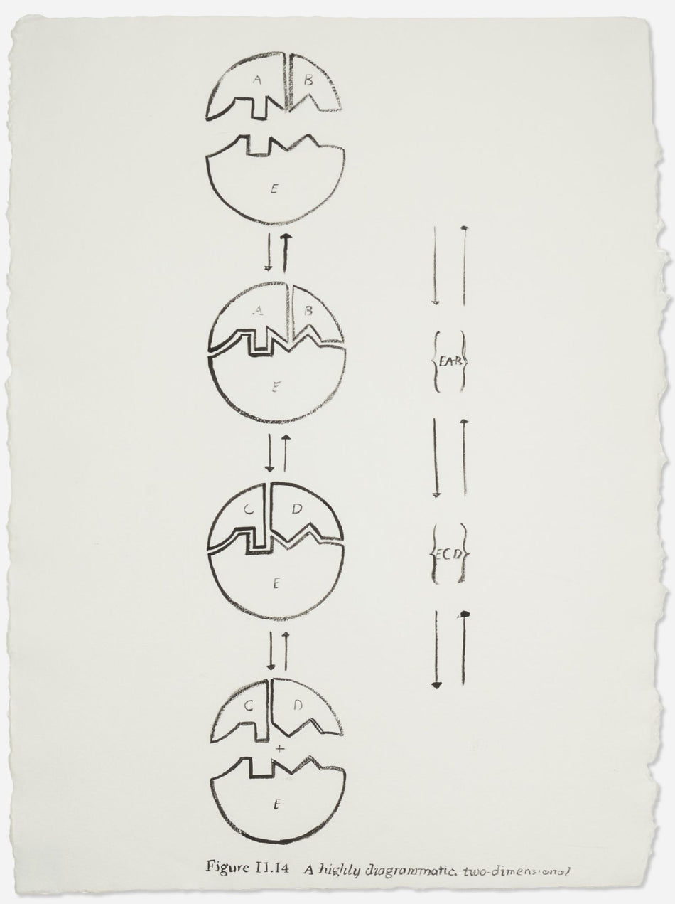 Andy Warhol - Physiological Diagram 1985-1986 - 31 5/8 x 23 1/2 in.