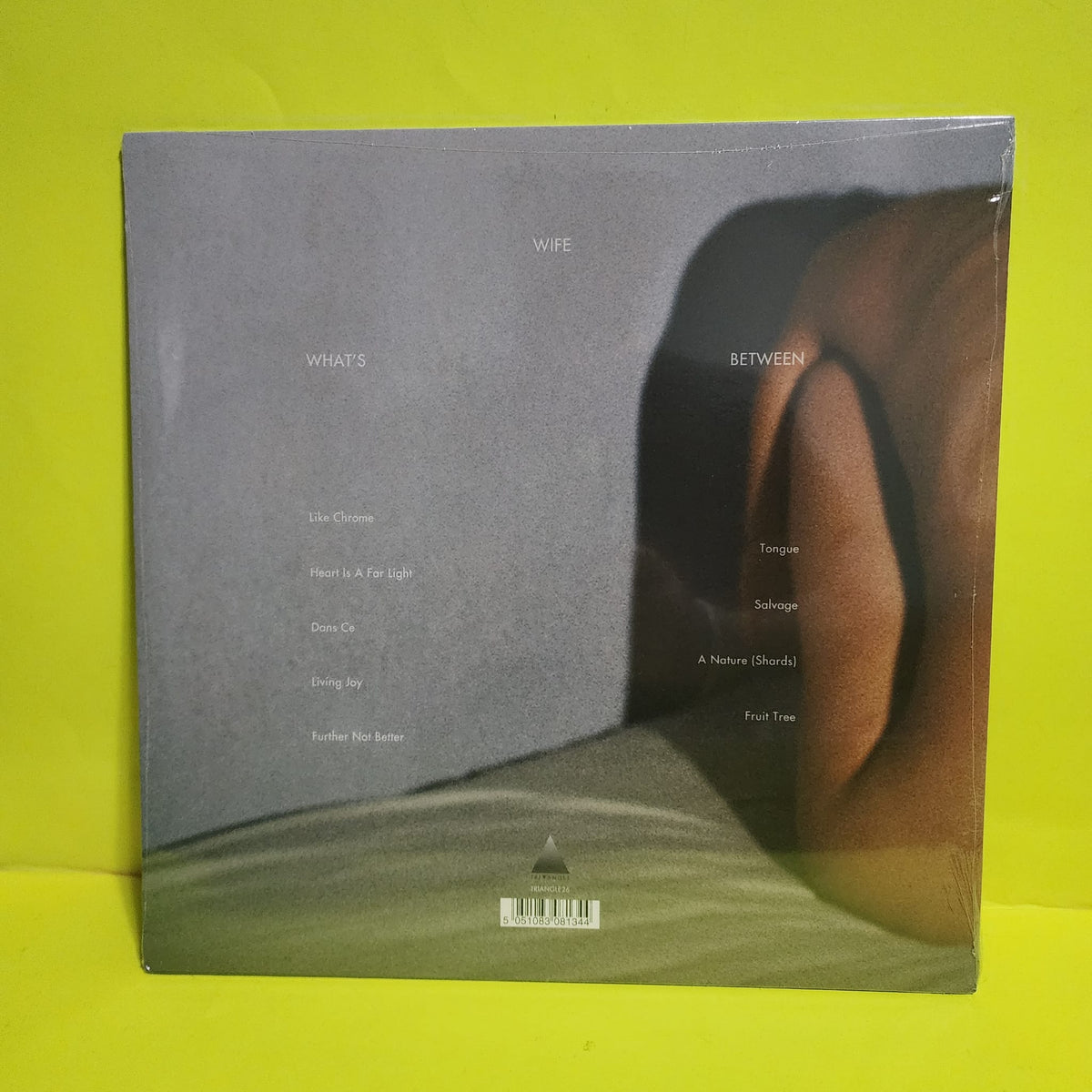 Wife  - What's Between - 2014 - TRIANGLE26 New - Sealed - Vinyl