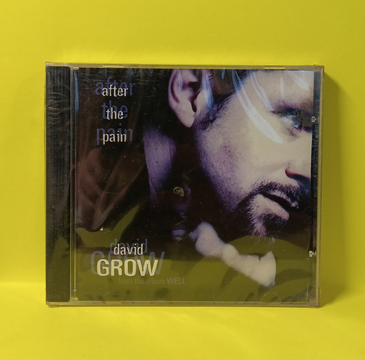 David Grow - After The Pain - 1996 - New - Sealed - CDs