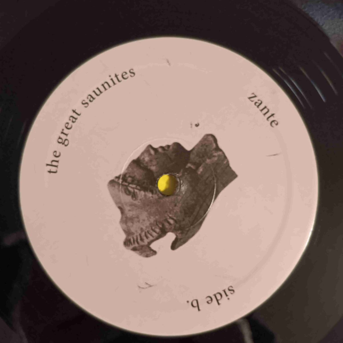 Palmer Generator / Great Saunites - PGTGS - 2020 - bloody068 Used - EX - Vinyl