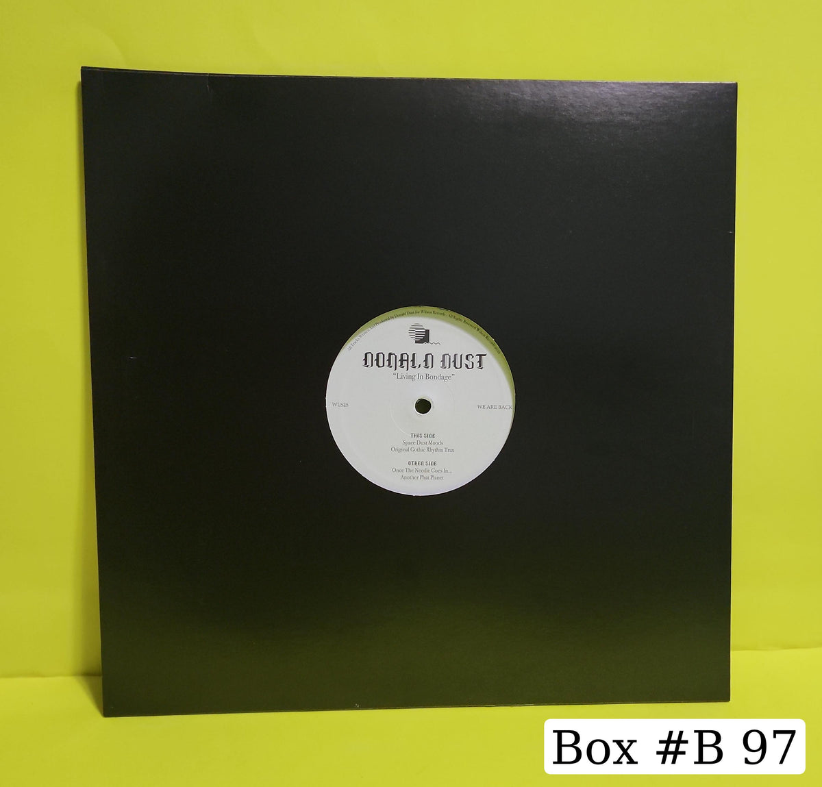 Donald Dust - Living in Bondage (Italy Italo-Disco) - 2022 - WLS25 New - EX - Vinyl