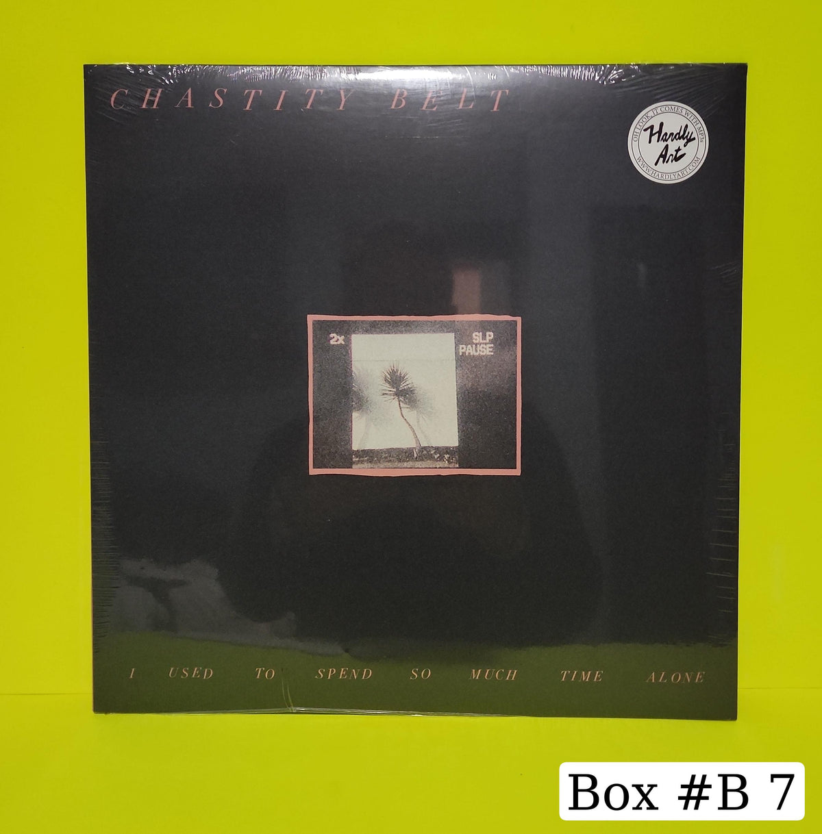 Chastity Belt - I Used To Spend So Much Time Alone - 2017 - HAR-101 New - Sealed - Vinyl